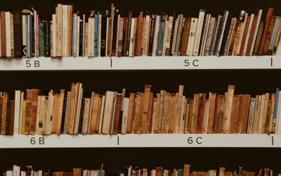 Literatura x Vida real: Personagens periféricos e o molde do imaginário nacional